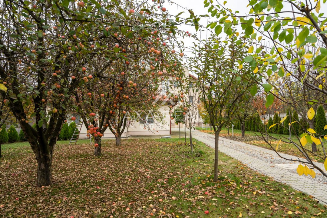 Vila Saftica - o casa cum nu se mai fac! 