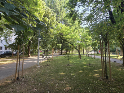 COMISION 0 % I 2 camere Bach - Parc Cinematograf Floreasca I et. 3 I